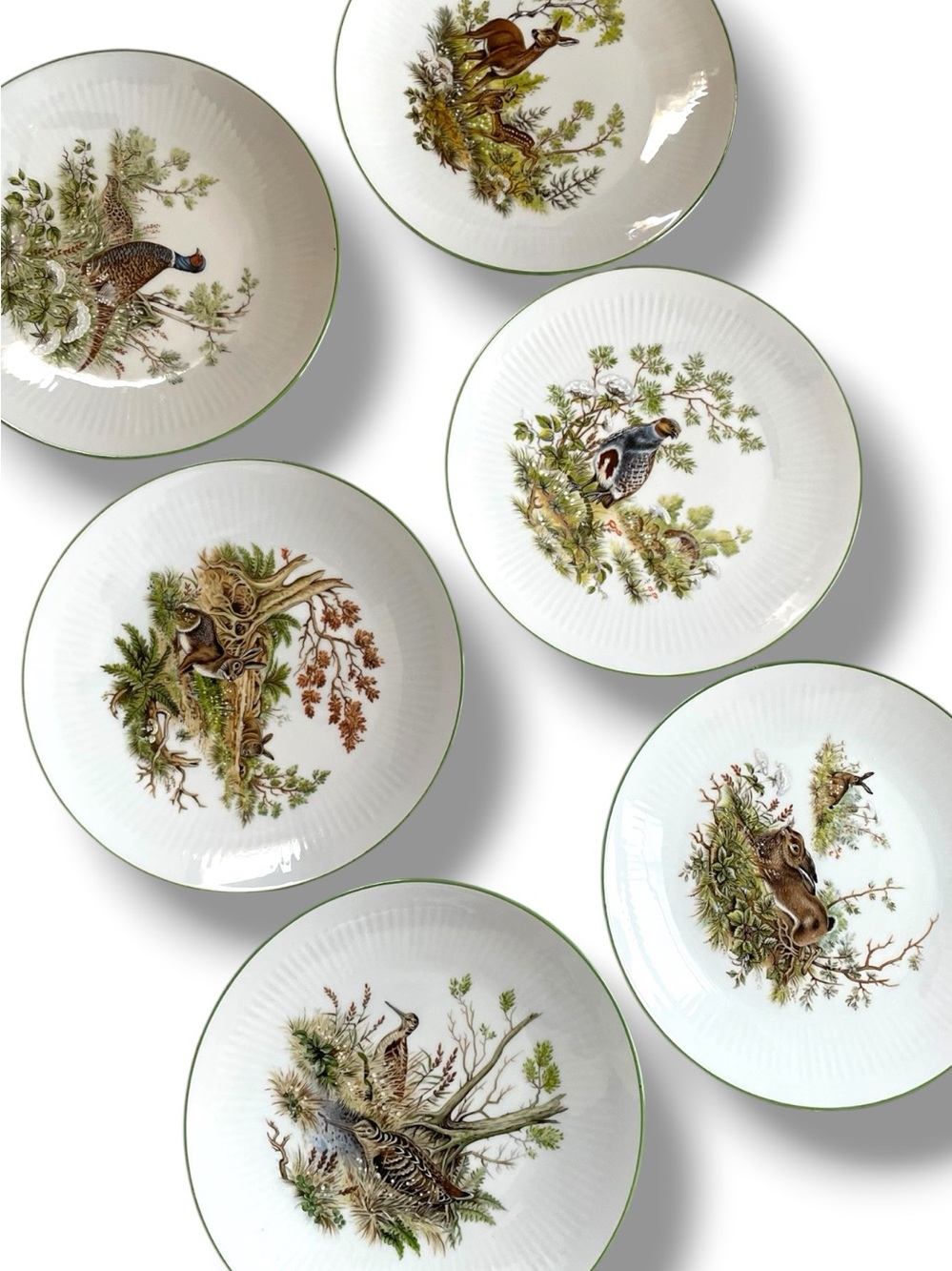 Vintage salad plates with European game birds and wildlife Bareuther Waldsassen